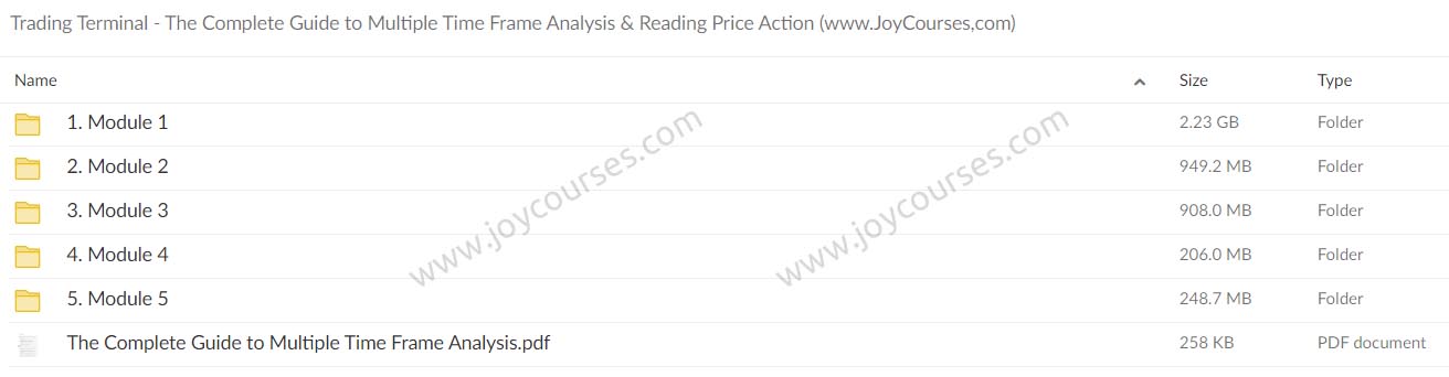 Trading Terminal - The Complete Guide to Multiple Time Frame Analysis & Reading Price Action