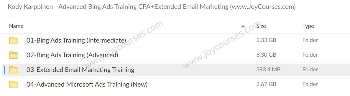 Kody Karppinen - Advanced Bing Ads Training CPA+Extended Email Marketing