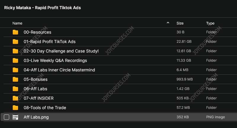 Ricky Mataka – Rapid Profit Tiktok Ads